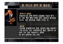 [위기관리] 환 리스크(위험)노출과 그 사례(미래와 사람, 현대자동차 사례 조사)-6