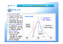 [위기관리] 환 리스크(위험)노출과 그 사례(미래와 사람, 현대자동차 사례 조사)-15
