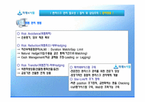 [위기관리] 환 리스크(위험)노출과 그 사례(미래와 사람, 현대자동차 사례 조사)-16