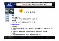 [위기관리] 환 리스크(위험)노출과 그 사례(미래와 사람, 현대자동차 사례 조사)-18