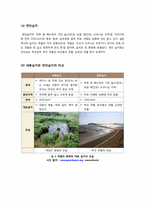 [자원환경정책] 우리나라 습지와 람사협약-2