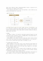 [행정학] 공직의 분류-3