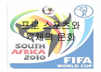 [대중문화속 철학] 프로 스포츠와 육체의 문화-1