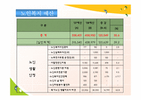 [사회복지] 노인문제와 노인복지 정책의 발전방향-16