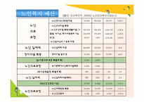 [사회복지] 노인문제와 노인복지 정책의 발전방향-17