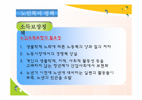 [사회복지] 노인문제와 노인복지 정책의 발전방향-19