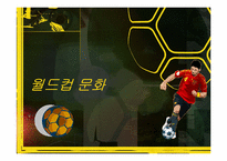 [문화사의 이해] 세계의 월드컵 문화-1