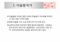 [문화와 간호] 이슬람 국가의 출산문화-3