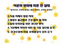 [현대사회의 이해] 세계화와 지구촌사회-세계화에 따른 식생활 변화-13