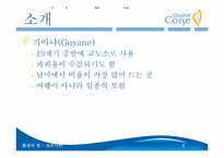 [프랑스 문화와 관광] 코르시카(Qualite Corsica) 관광-6