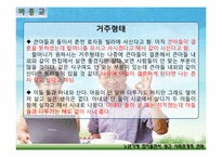 [노인복지] 노년기에 접어들면서 생긴 사회관계적 변화 조사(종교인, 비종교인 비교)-7