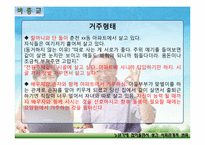 [노인복지] 노년기에 접어들면서 생긴 사회관계적 변화 조사(종교인, 비종교인 비교)-8