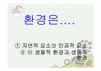 [인간과 윤리] 환경보호에 관한 고찰-4