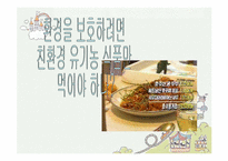 [인간과 윤리] 환경보호에 관한 고찰-14