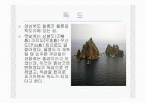 [한국근현대사] 독도 영유권 분쟁의 역사, 현황, 사례 및 한국의 독도 문제 대응방안-3