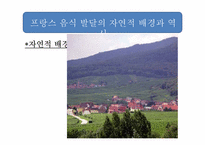 [프랑스 사회 문화] 프랑스 음식 문화-3
