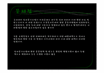 [환경문제] 지하상가의 오염실태 및 대책-13