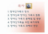 [가족복지] 장애인 가족의 문제점과 복지대책 전망-2