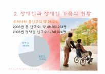 [가족복지] 장애인 가족의 문제점과 복지대책 전망-5