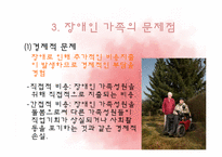 [가족복지] 장애인 가족의 문제점과 복지대책 전망-8
