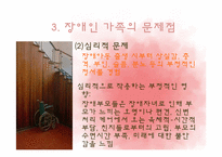 [가족복지] 장애인 가족의 문제점과 복지대책 전망-9