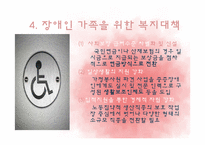 [가족복지] 장애인 가족의 문제점과 복지대책 전망-13