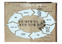 `젊은 베르테르의 슬픔` 작품속 유럽문화속의 여성들-17