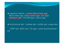 [미생물학] 식중독균 thrombocytopenia 세균학 실습-5
