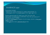[미생물학] 식중독균 thrombocytopenia 세균학 실습-6