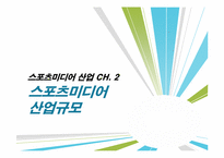 [스포츠 산업개론] 스포츠 미디어산업의 현황과 발전방향-13