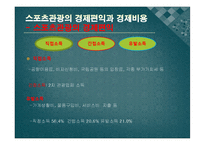 [스포츠관광론] 스포츠관광의 이해와 효과-12