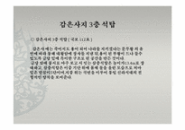 [불교미술] 우리나라의 탑의 특징과 역사-6