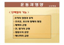 [스포츠 영양학] 운동과 영양-8