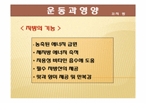 [스포츠 영양학] 운동과 영양-11