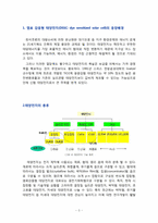 [분자시스템 공학 설계] DSSC(염료감응형태양전지) 기술의 현황과 전망-3