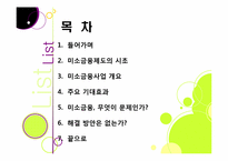 [미소금융]미소금융사업의 장점(필요성과 기대 효과) 및 단점(미소금융사업의 문제점 및 한계) 분석과 이에 대한 해결 방안 고찰-2