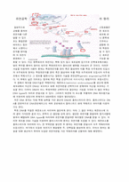 DNA복제, 전사, 단백질 합성과정-5
