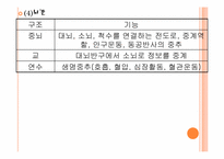 뇌졸중(Stroke) 레포트-6