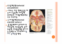 뇌졸중(Stroke) 레포트-8
