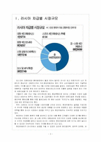 [현대자동차] 러시아 시장의 성장과 현대자동차의 진출전략 보고서-3