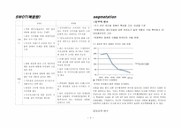 [국제마케팅] 더페이스샵 마스크팩 마케팅전략-4