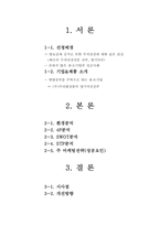 댕기머리샴푸 마케팅 성공사례 분석-2