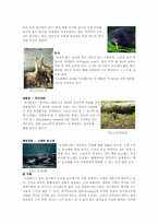 [글로벌 기업 환경론] 뉴질랜드-7