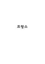 [국제기업환경론] 프랑스-1