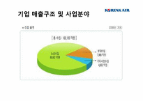 대한항공 재무제표 분석-13