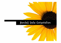 [조직개발론] Rondell Data Corporation의 사례-1