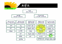 [조직개발론] Rondell Data Corporation의 사례-5