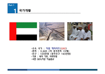 [국제기업환경] 두바이 화려한 성공과 좌절 그리고 현재-4