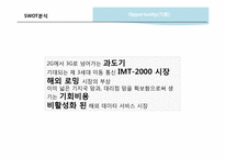 SK Telecom 국제마케팅 전략 -힐리오(helio) 사례-11