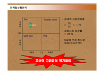 댕기머리 샴푸 마케팅전략-13